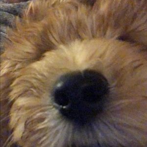 Meet your Posher, Sally